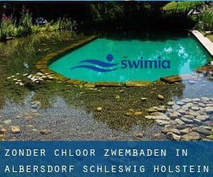 Zonder chloor Zwembaden in Albersdorf (Schleswig-Holstein)