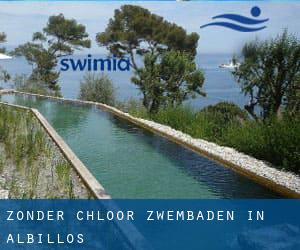 Zonder chloor Zwembaden in Albillos