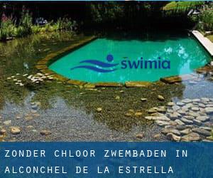 Zonder chloor Zwembaden in Alconchel de la Estrella