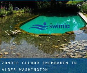 Zonder chloor Zwembaden in Alder (Washington)