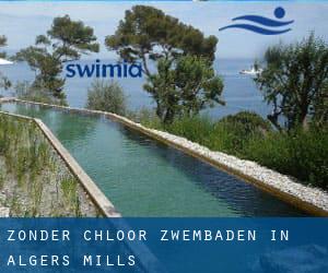 Zonder chloor Zwembaden in Algers Mills