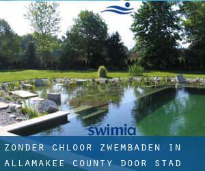 Zonder chloor Zwembaden in Allamakee County door Stad - pagina 1