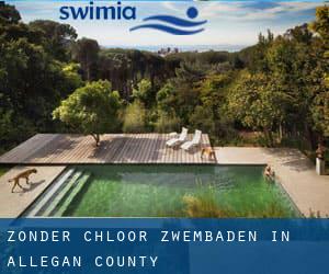 Zonder chloor Zwembaden in Allegan County