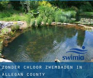 Zonder chloor Zwembaden in Allegan County