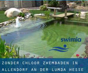 Zonder chloor Zwembaden in Allendorf an der Lumda (Hesse)