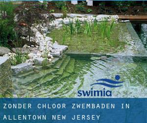 Zonder chloor Zwembaden in Allentown (New Jersey)