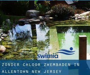 Zonder chloor Zwembaden in Allentown (New Jersey)