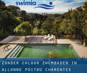 Zonder chloor Zwembaden in Allonne (Poitou-Charentes)