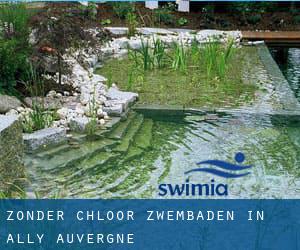 Zonder chloor Zwembaden in Ally (Auvergne)