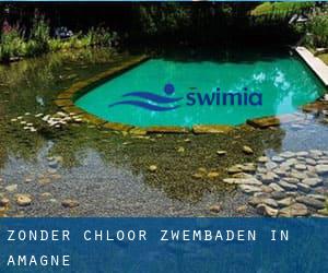 Zonder chloor Zwembaden in Amagne