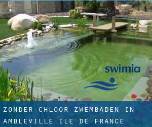 Zonder chloor Zwembaden in Ambleville (Île-de-France)