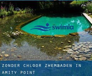 Zonder chloor Zwembaden in Amity Point