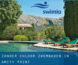 Zonder chloor Zwembaden in Amity Point