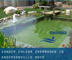 Zonder chloor Zwembaden in Andersonville (Ohio)