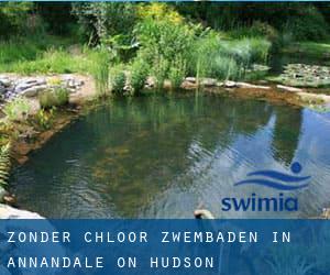 Zonder chloor Zwembaden in Annandale-on-Hudson