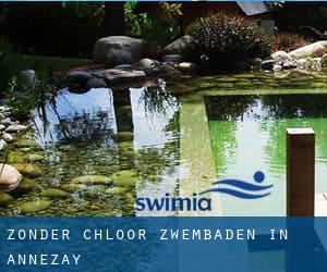 Zonder chloor Zwembaden in Annezay