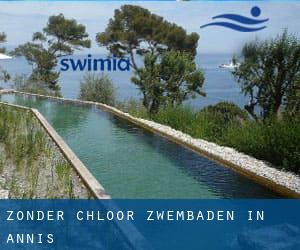 Zonder chloor Zwembaden in Annis