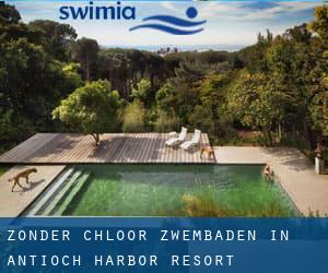 Zonder chloor Zwembaden in Antioch Harbor Resort