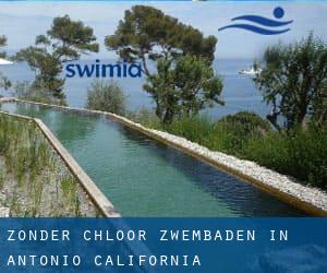 Zonder chloor Zwembaden in Antonio (California)