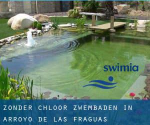 Zonder chloor Zwembaden in Arroyo de las Fraguas