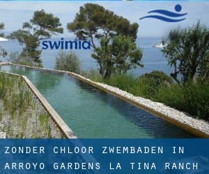 Zonder chloor Zwembaden in Arroyo Gardens-La Tina Ranch