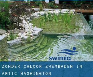 Zonder chloor Zwembaden in Artic (Washington)