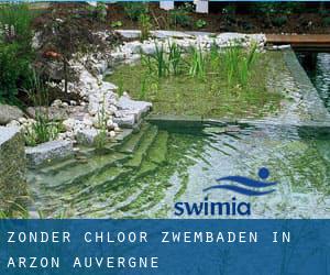 Zonder chloor Zwembaden in Arzon (Auvergne)