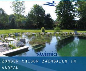 Zonder chloor Zwembaden in Asdean