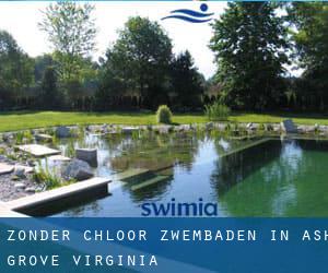 Zonder chloor Zwembaden in Ash Grove (Virginia)