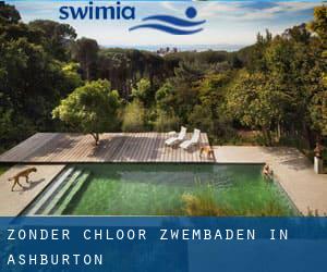 Zonder chloor Zwembaden in Ashburton