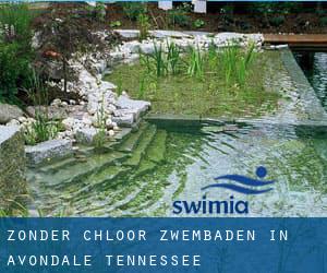 Zonder chloor Zwembaden in Avondale (Tennessee)