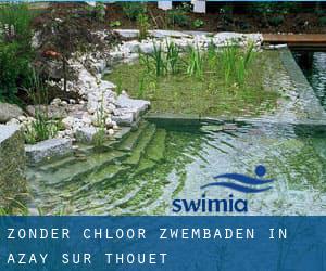 Zonder chloor Zwembaden in Azay-sur-Thouet