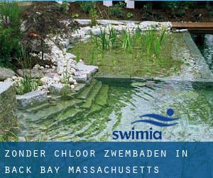 Zonder chloor Zwembaden in Back Bay (Massachusetts)