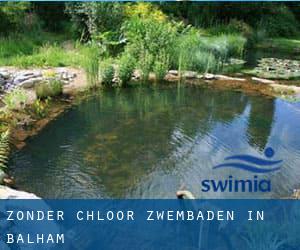 Zonder chloor Zwembaden in Balham