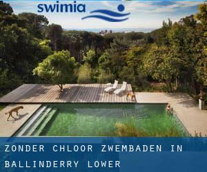 Zonder chloor Zwembaden in Ballinderry Lower