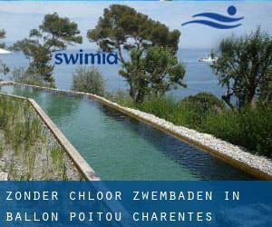 Zonder chloor Zwembaden in Ballon (Poitou-Charentes)