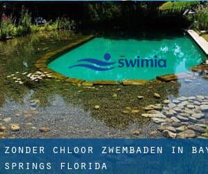 Zonder chloor Zwembaden in Bay Springs (Florida)