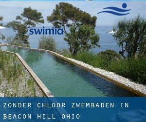 Zonder chloor Zwembaden in Beacon Hill (Ohio)