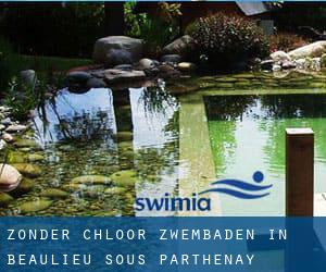 Zonder chloor Zwembaden in Beaulieu-sous-Parthenay