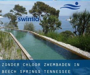 Zonder chloor Zwembaden in Beech Springs (Tennessee)