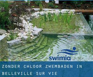 Zonder chloor Zwembaden in Belleville-sur-Vie