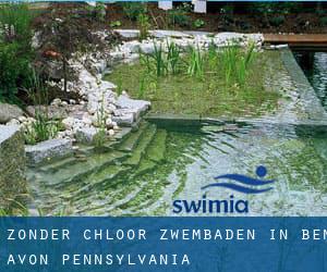 Zonder chloor Zwembaden in Ben Avon (Pennsylvania)