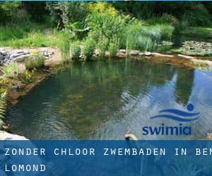 Zonder chloor Zwembaden in Ben Lomond