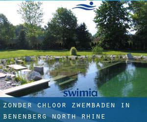 Zonder chloor Zwembaden in Benenberg (North Rhine-Westphalia)