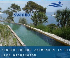 Zonder chloor Zwembaden in Big Lake (Washington)