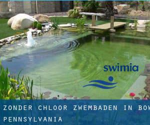 Zonder chloor Zwembaden in Bow (Pennsylvania)