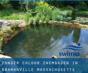 Zonder chloor Zwembaden in Bramanville (Massachusetts)