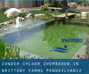 Zonder chloor Zwembaden in Brittany Farms (Pennsylvania)