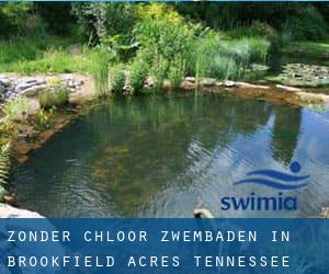 Zonder chloor Zwembaden in Brookfield Acres (Tennessee)