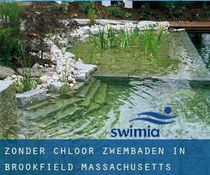 Zonder chloor Zwembaden in Brookfield (Massachusetts)